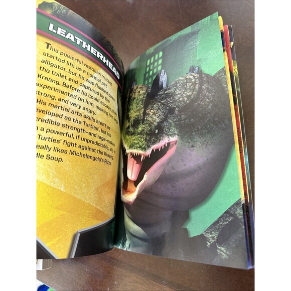 Lot (7) Boy's Illustrated TMNT Lego Comic Marvel Chapter Books Reading Star Wars - Picture 16 of 16